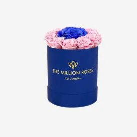 Basic Royal Blue Suede Box | Light Pink & Royal Blue Mini Roses