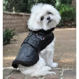 Black Top Dog Flight Coat with Leash