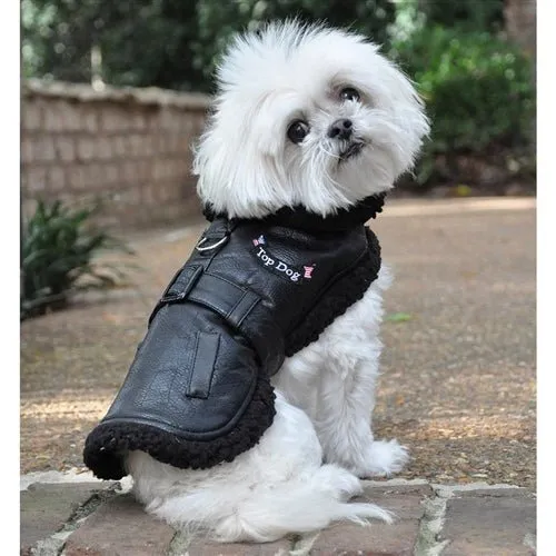 Black Top Dog Flight Coat with Leash
