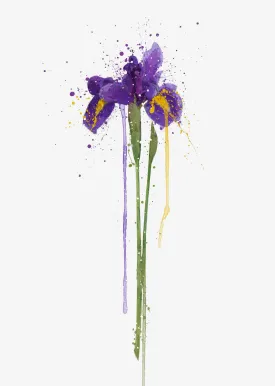 Flower Wall Art Print 'Iris'