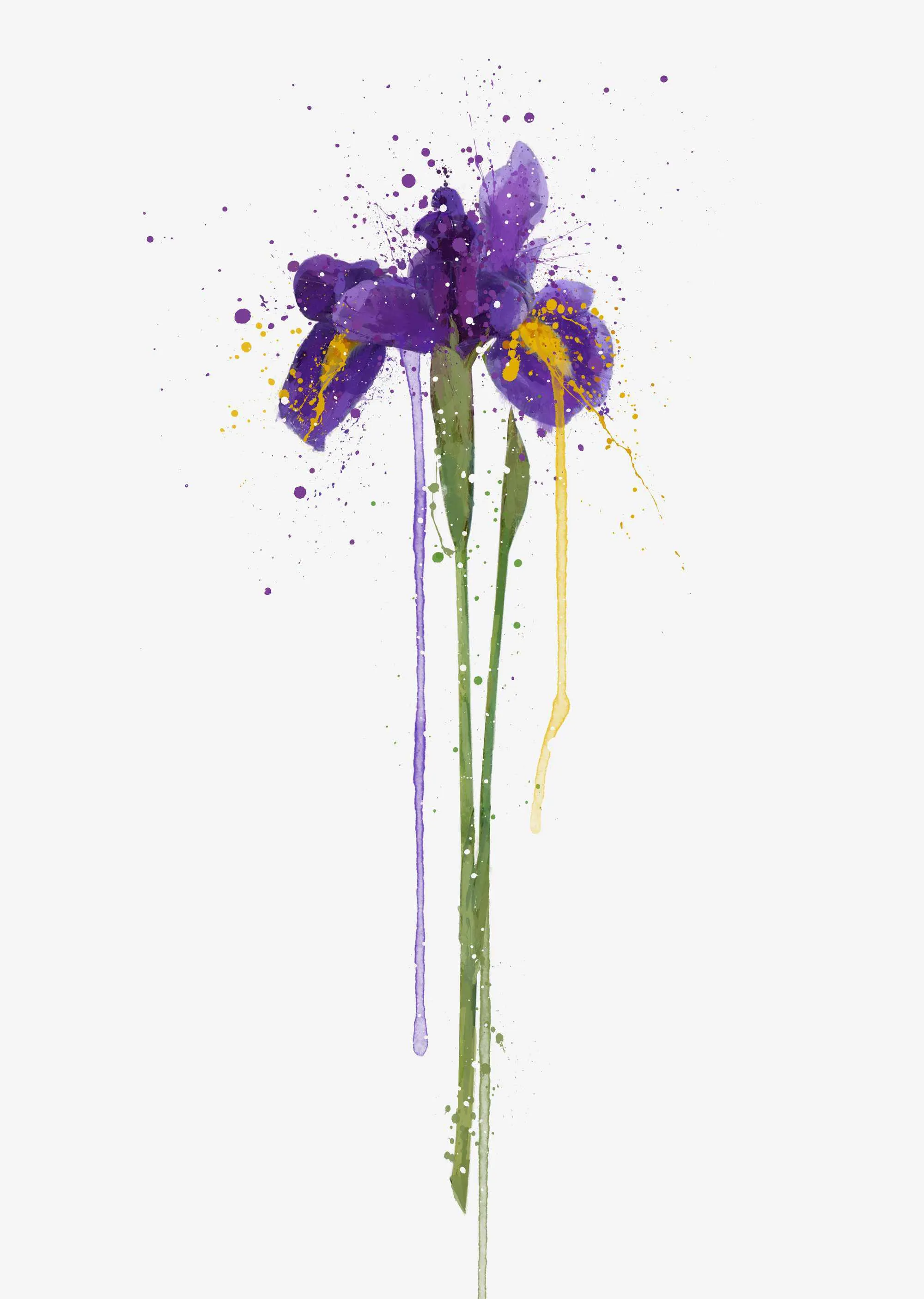 Flower Wall Art Print 'Iris'