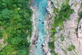 Forest River