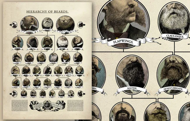 Hierarchy of Beards Poster (by Wondermark)