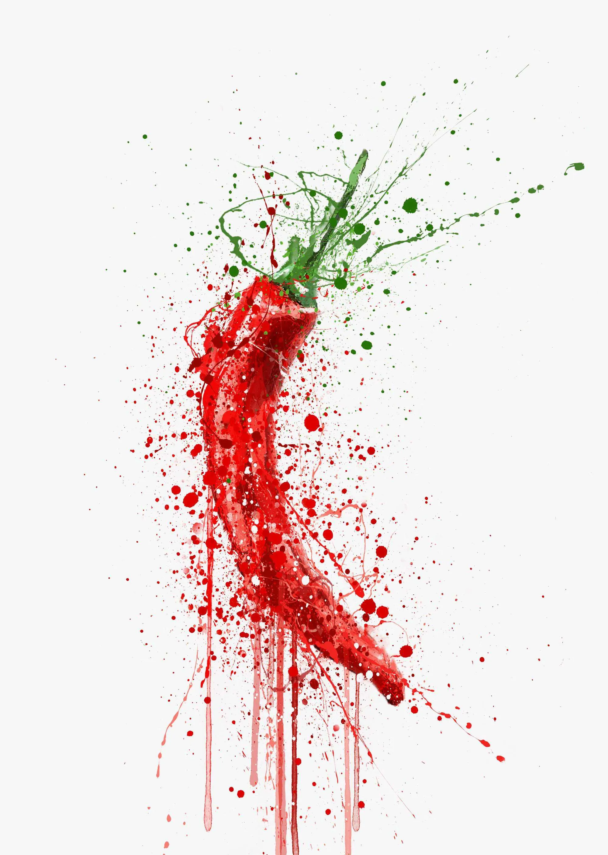 Red Chilli Vegetable Wall Art Print